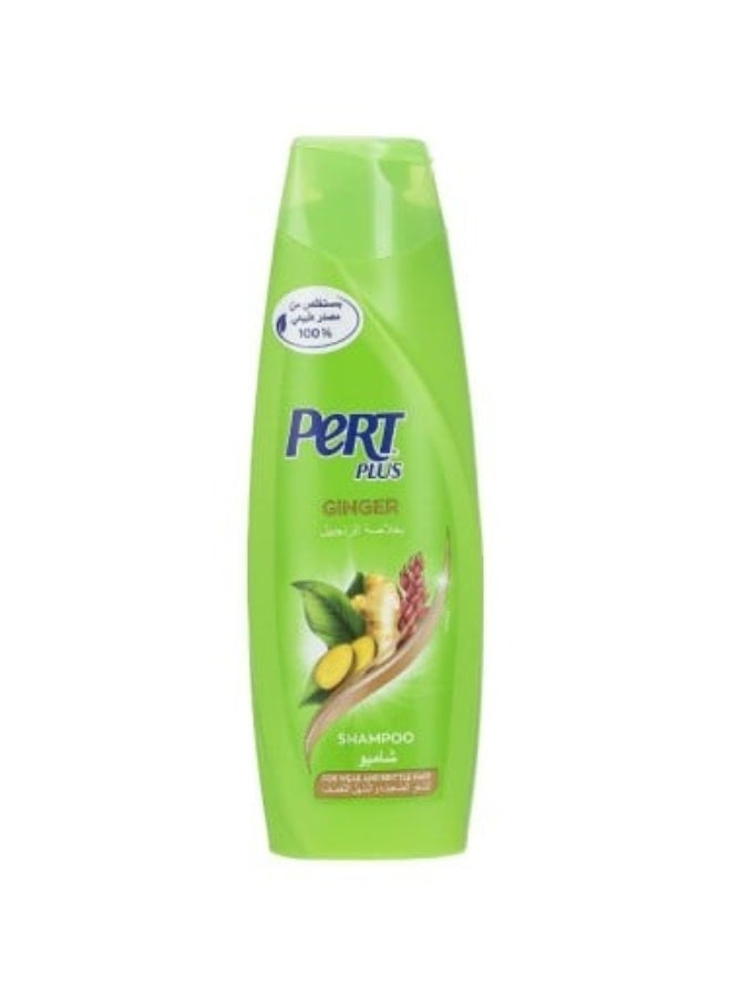 Hair Shampoo with Ginger Extract 400ml